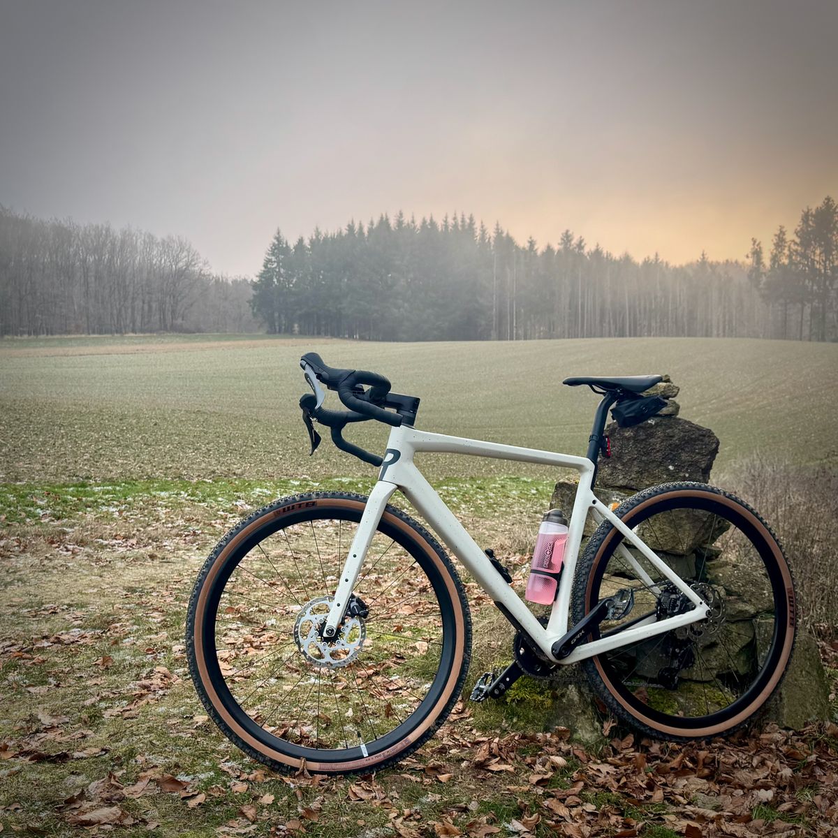 Gravel bike in misty forest landscape
