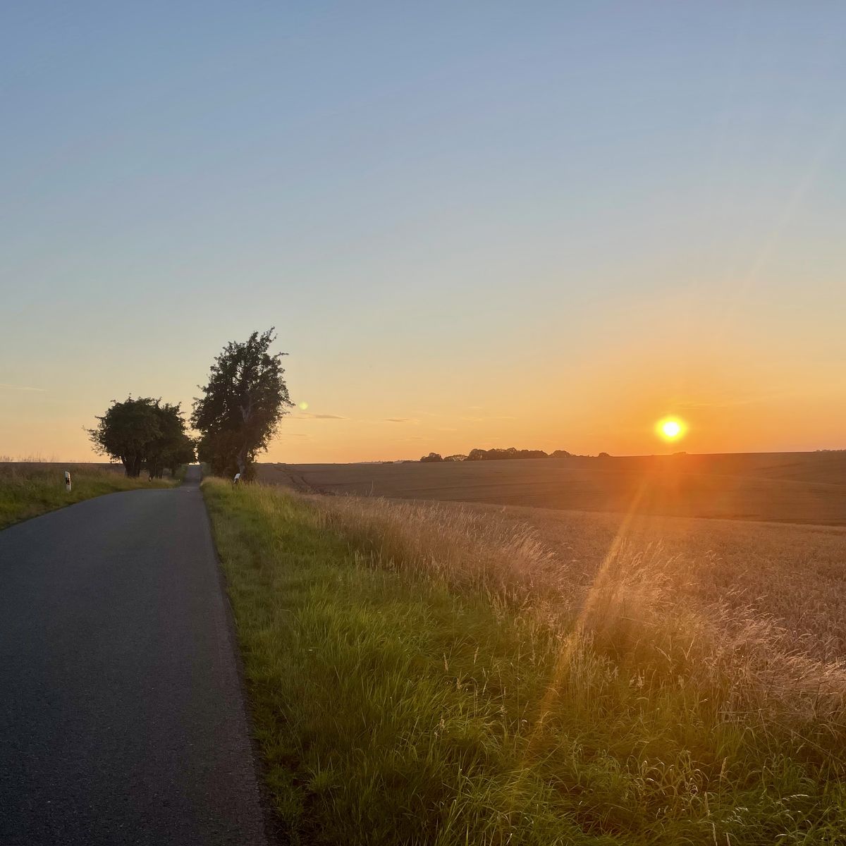 Sunset road cycling landscape